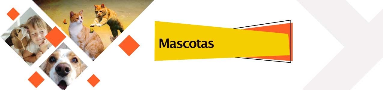 Mascotas - VendeMas Club de Compras Online